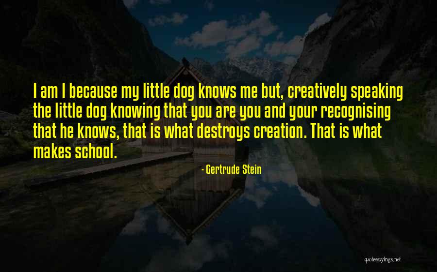 Gertrude Stein Quotes 1384342