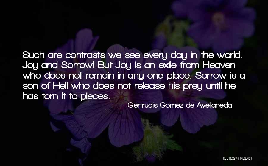 Gertrudis Gomez De Avellaneda Quotes 354111