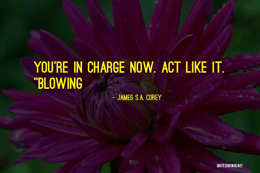 Gerundong Quotes By James S.A. Corey Gerundong Quotes By James S.A. Corey
