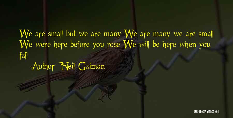 Gesara Wikipedia Quotes By Neil Gaiman