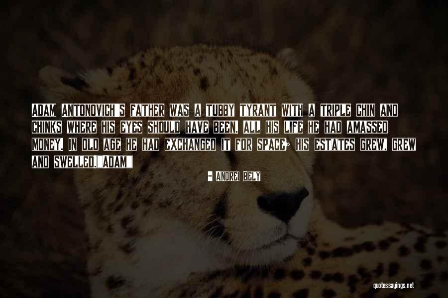 Gesell Institute Quotes By Andrei Bely Gesell Institute Quotes By Andrei Bely
