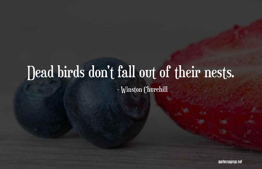 Gestionar Depozit Quotes By Winston Churchill Gestionar Depozit Quotes By Winston Churchill