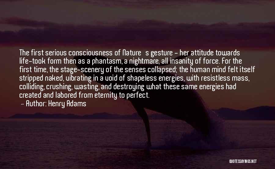 Gesture Life Quotes By Henry Adams