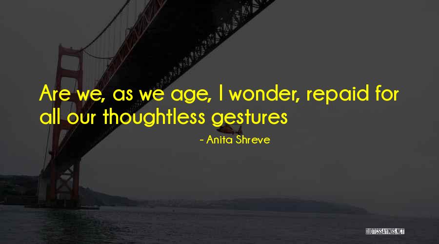 Gestures Quotes By Anita Shreve