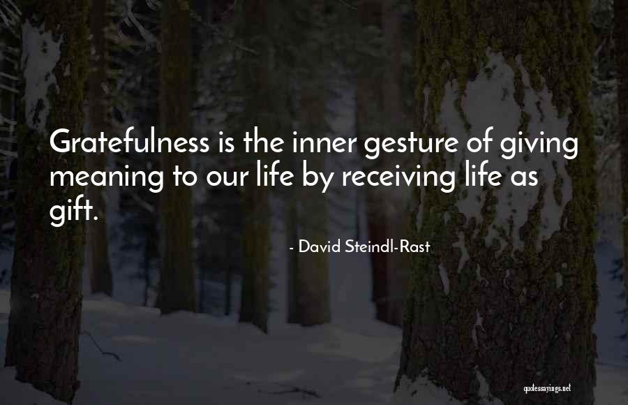 Gestures Quotes By David Steindl-Rast