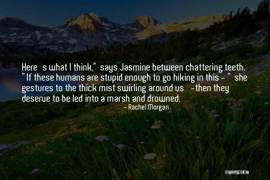 Gestures Quotes By Rachel Morgan