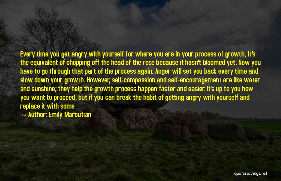 Get Back Up Inspirational Quotes By Emily Maroutian