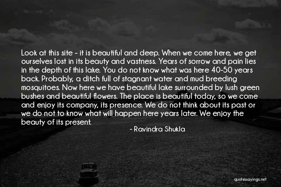 Get Back What You Have Lost Quotes By Ravindra Shukla Get Back What You Have Lost Quotes By Ravindra Shukla