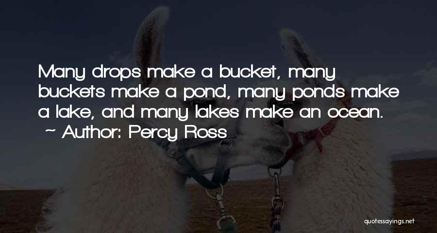 Get Buckets Quotes By Percy Ross