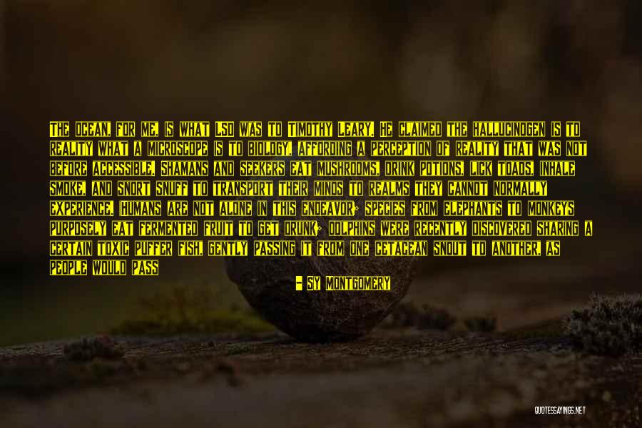 Get Drunk Quotes By Sy Montgomery Get Drunk Quotes By Sy Montgomery