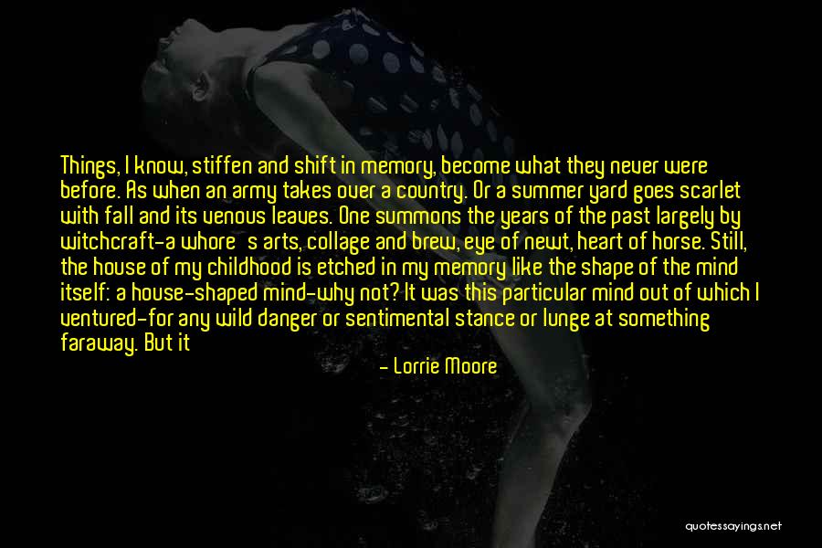 Get In Shape For Summer Quotes By Lorrie Moore