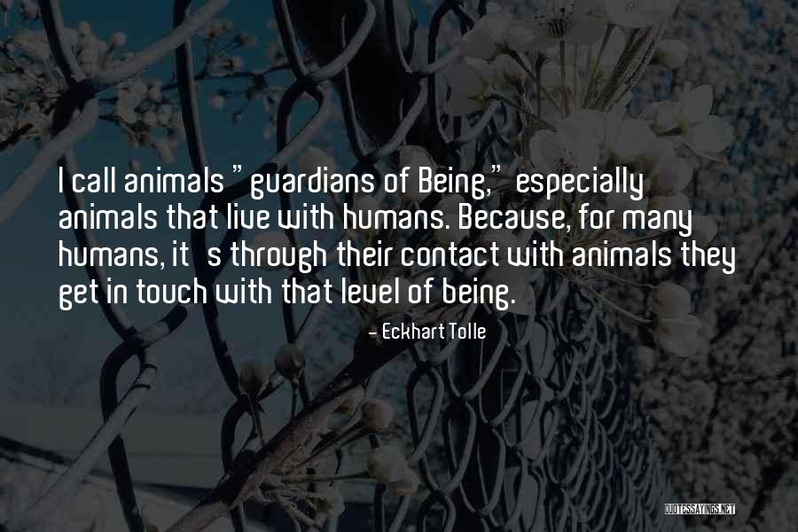 Get In Touch Quotes By Eckhart Tolle Get In Touch Quotes By Eckhart Tolle
