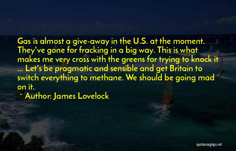 Get Mad At Me Quotes By James Lovelock
