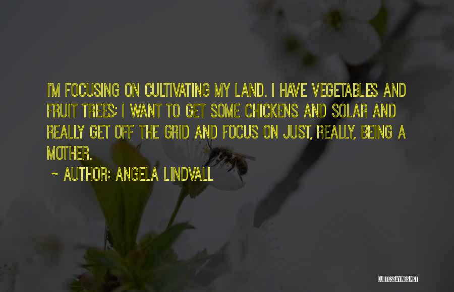 Get Off My Land Quotes By Angela Lindvall