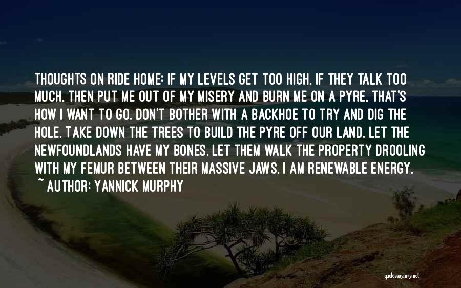 Get Off My Land Quotes By Yannick Murphy