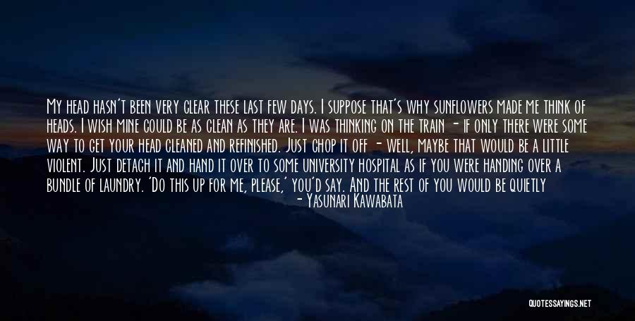 Get Off My Way Quotes By Yasunari Kawabata