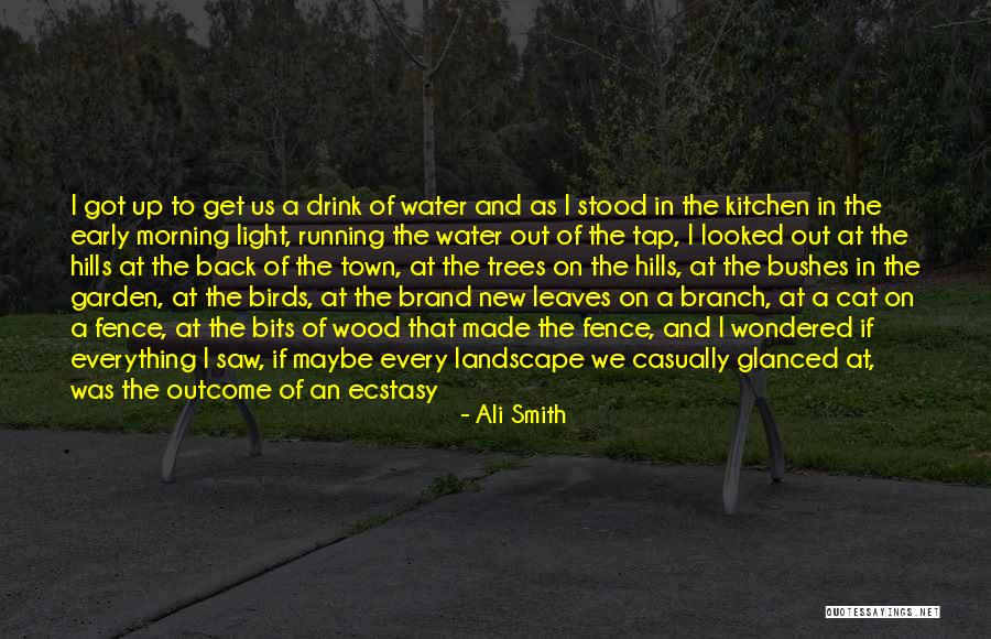 Get Out Of Town Quotes By Ali Smith