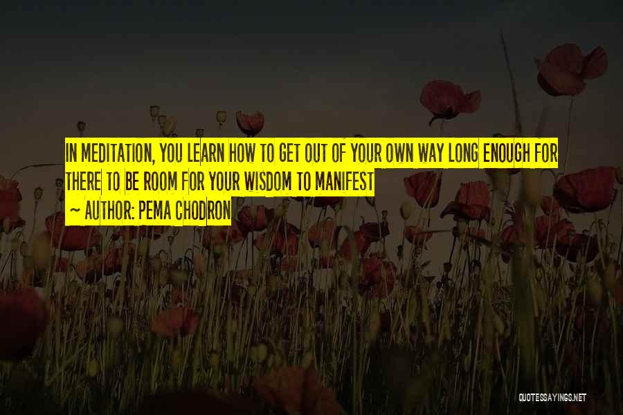 Get Out Your Own Way Quotes By Pema Chodron