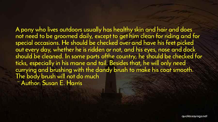 Get Outdoors Quotes By Susan E. Harris