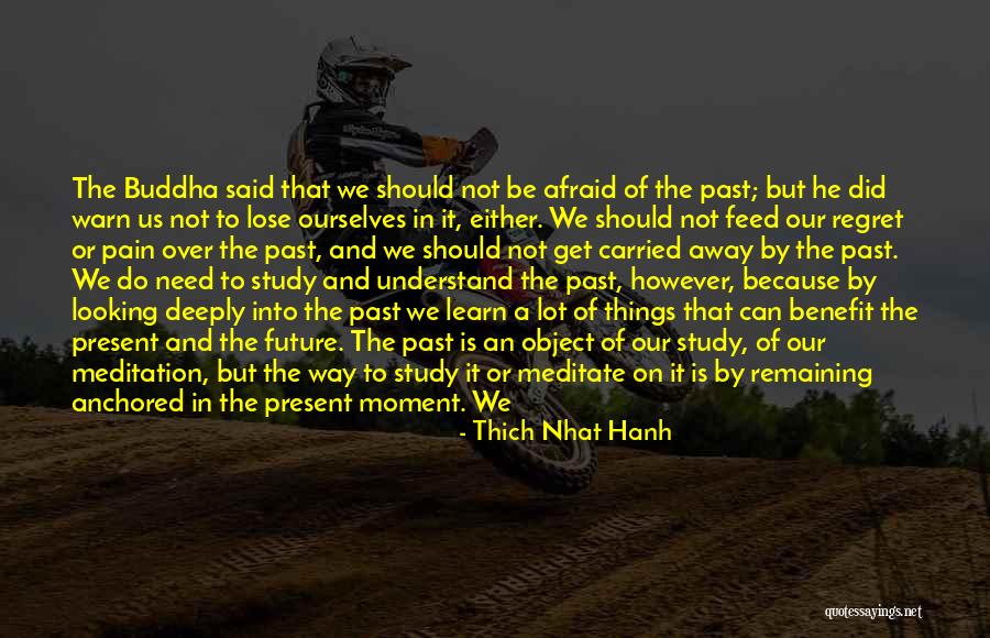 Get Over The Past Quotes By Thich Nhat Hanh