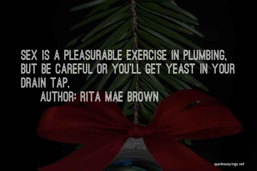 Get Plumbing Quotes By Rita Mae Brown