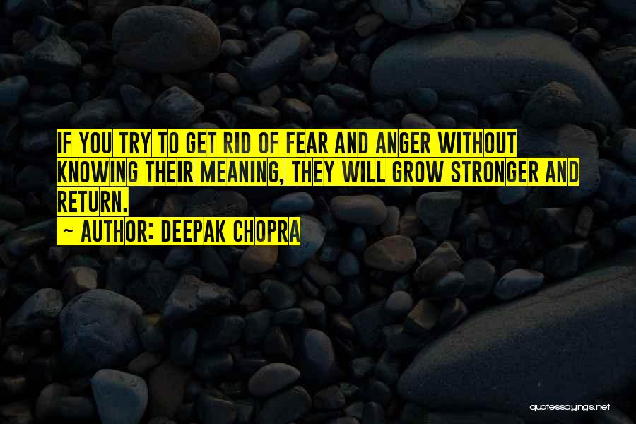 Get Rid Of Anger Quotes By Deepak Chopra