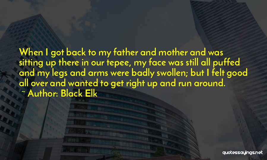 Get Right Back Up Quotes By Black Elk