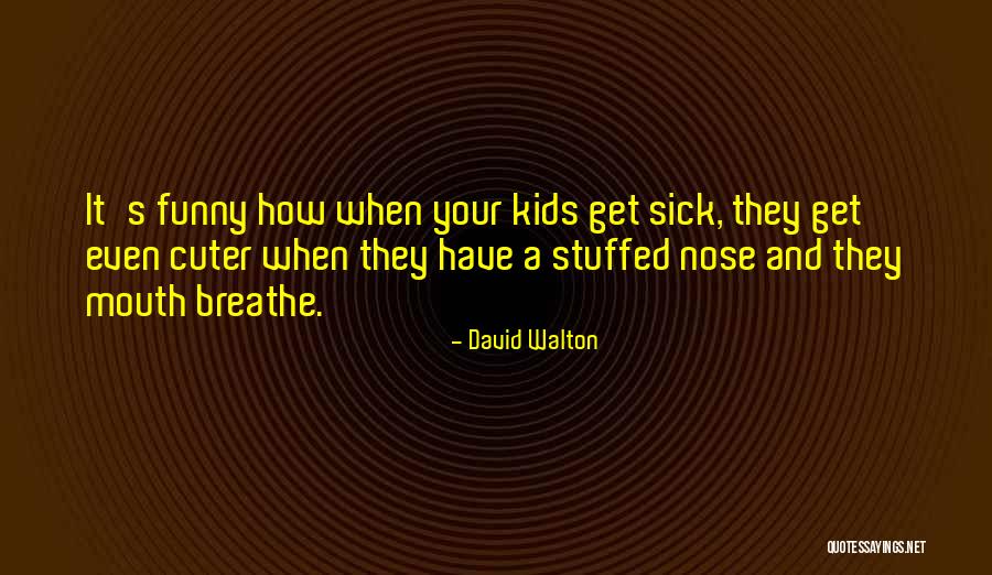 Get Stuffed Quotes By David Walton Get Stuffed Quotes By David Walton