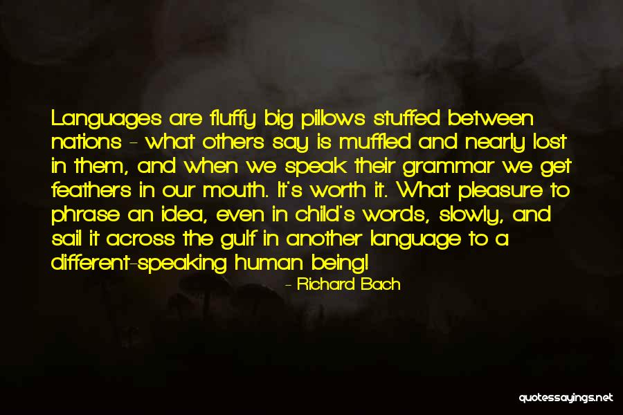 Get Stuffed Quotes By Richard Bach Get Stuffed Quotes By Richard Bach