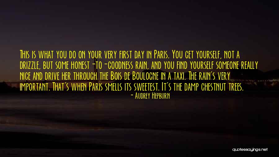 Get Through The Day Quotes By Audrey Hepburn