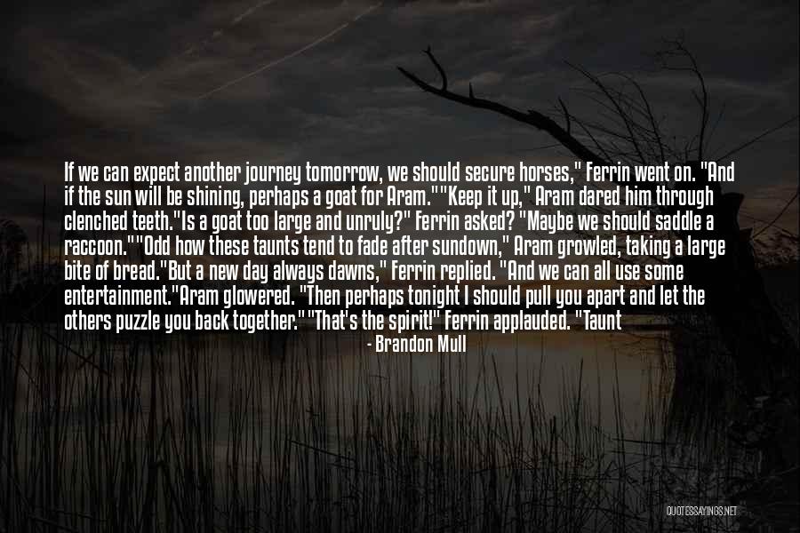 Get Through The Day Quotes By Brandon Mull