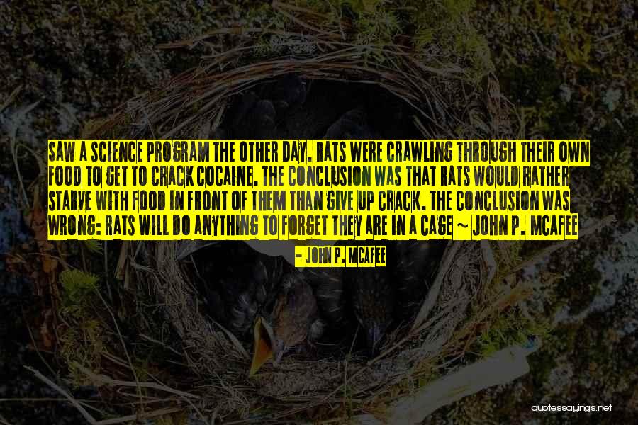 Get Through The Day Quotes By John P. McAfee Get Through The Day Quotes By John P. McAfee
