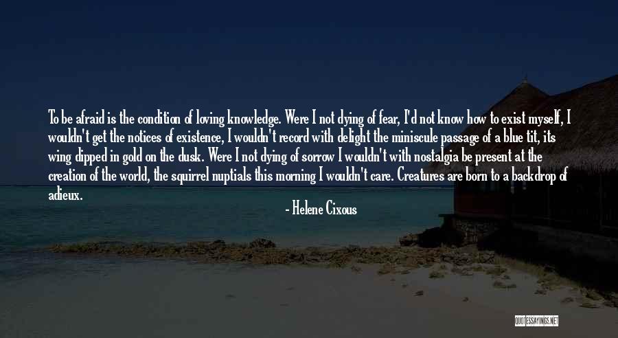 Get To Know The World Quotes By Helene Cixous Get To Know The World Quotes By Helene Cixous