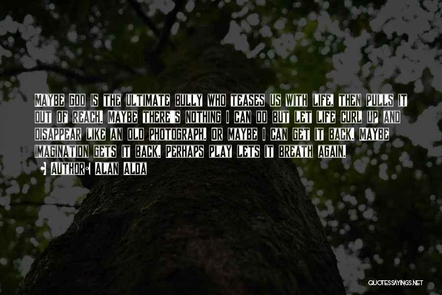 Get Up And Do It Again Quotes By Alan Alda