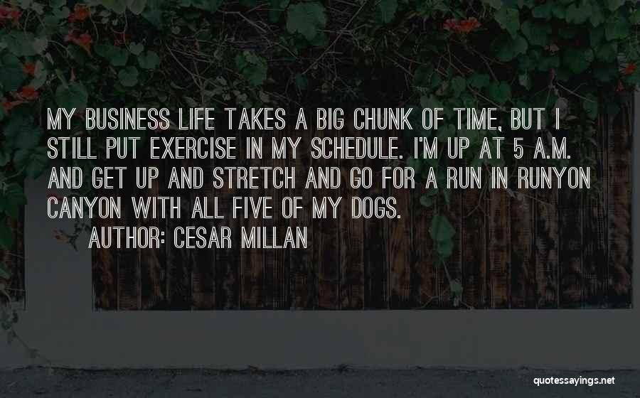 Get Up And Exercise Quotes By Cesar Millan