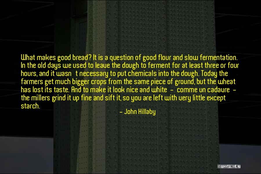 Get Up And Grind Quotes By John Hillaby