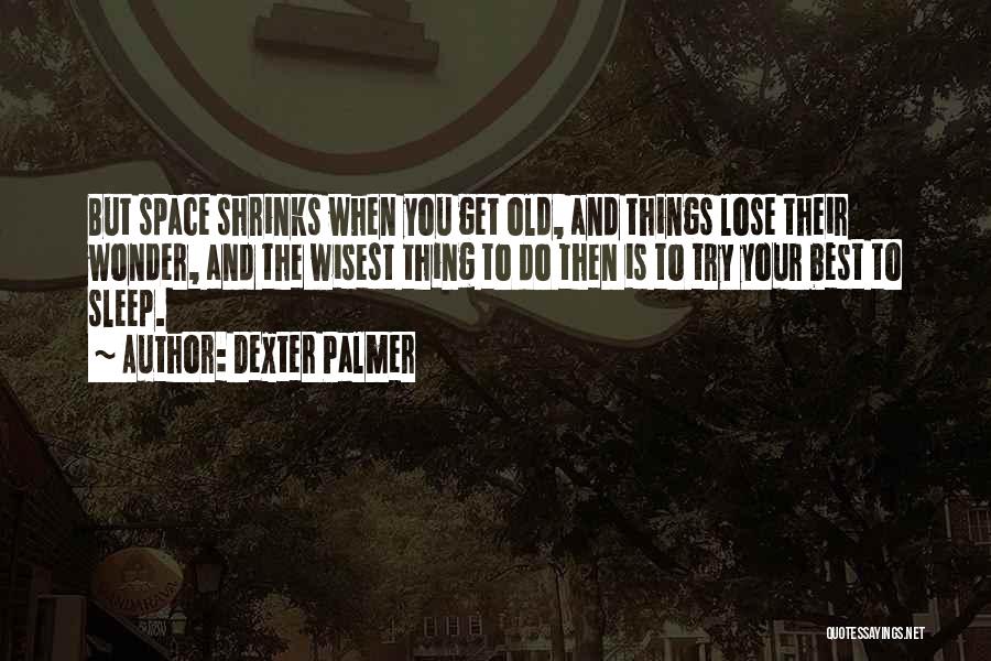 Get Up And Try Quotes By Dexter Palmer