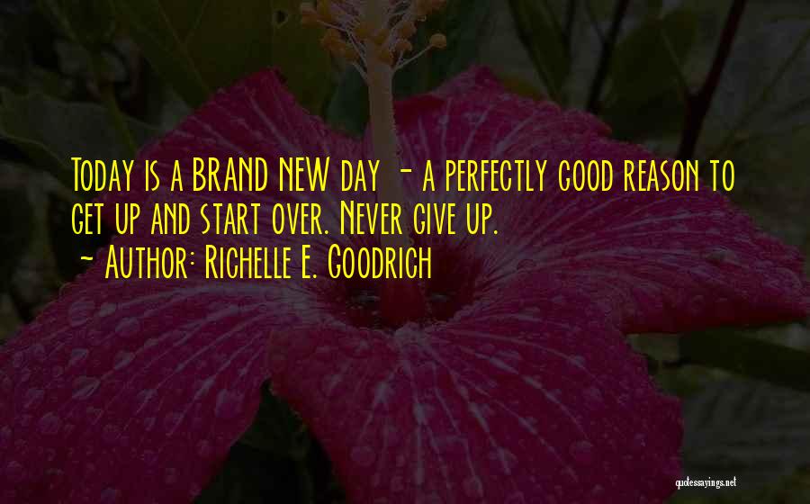 Get Up And Try Quotes By Richelle E. Goodrich