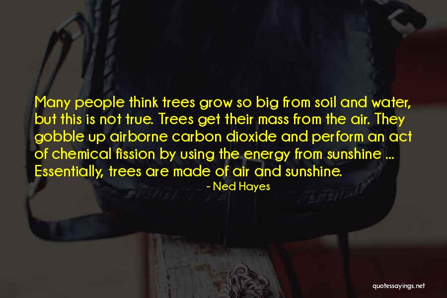 Get Up Change Quotes By Ned Hayes Get Up Change Quotes By Ned Hayes