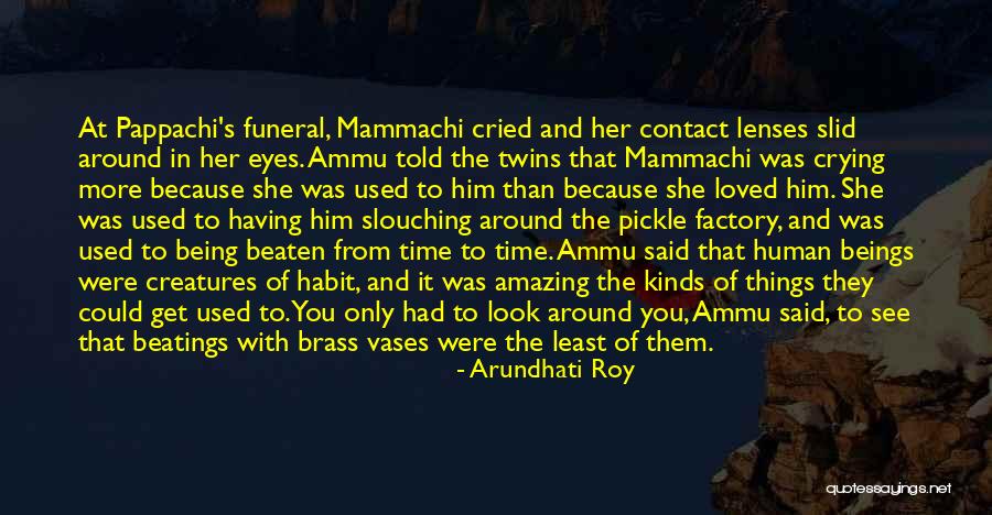 Get Used To Things Quotes By Arundhati Roy Get Used To Things Quotes By Arundhati Roy