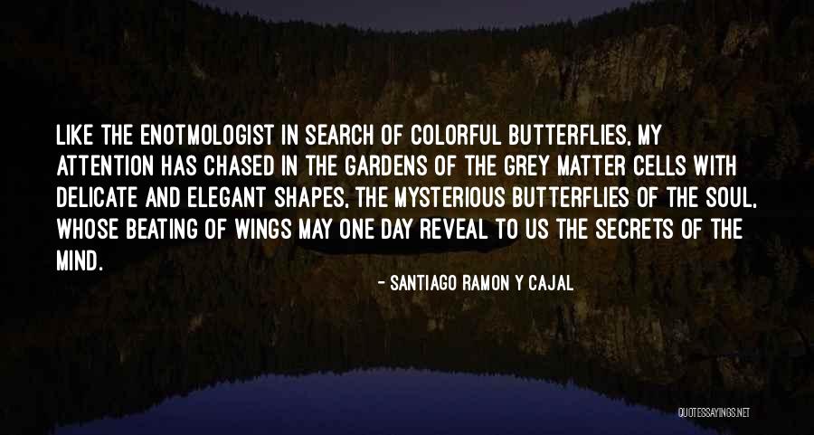 Get Well Wishes With Fishing Involved Quotes By Santiago Ramon Y Cajal Get Well Wishes With Fishing Involved Quotes By Santiago Ramon Y Cajal