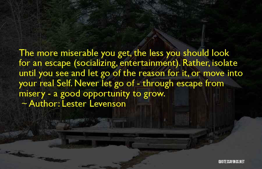 Get You Moving Quotes By Lester Levenson