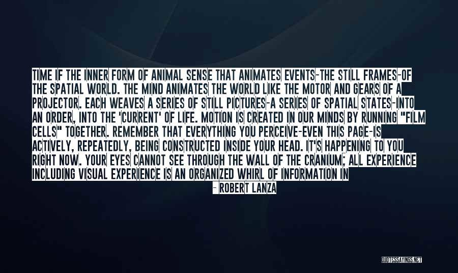 Get Your Life In Order Quotes By Robert Lanza Get Your Life In Order Quotes By Robert Lanza