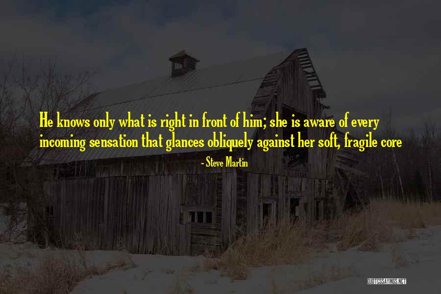 Getahun Assefa Quotes By Steve Martin Getahun Assefa Quotes By Steve Martin
