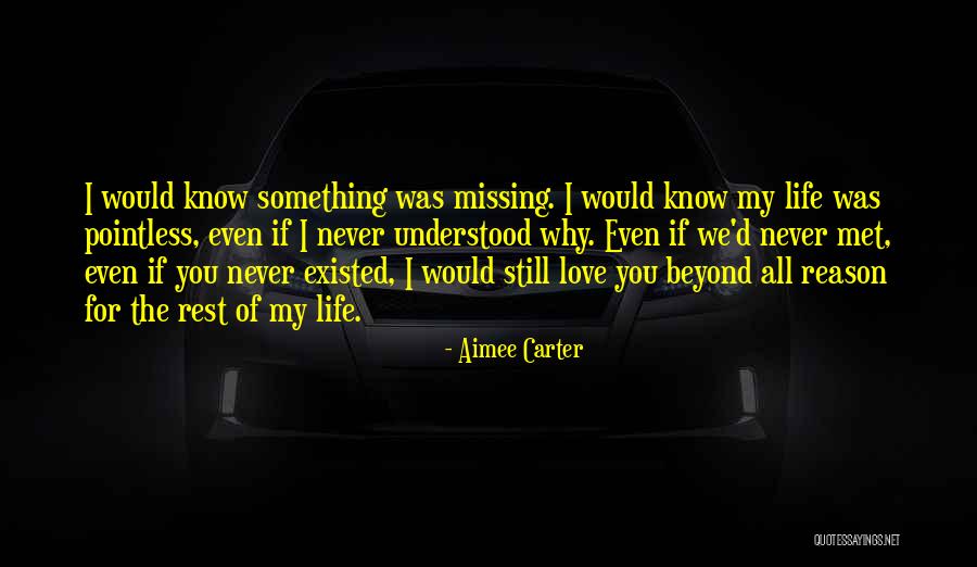 Getaway Plan Quotes By Aimee Carter