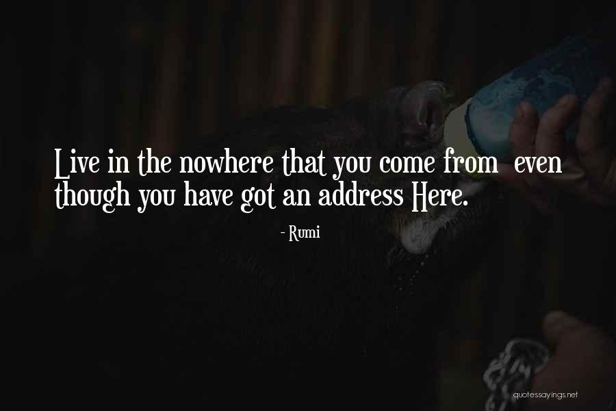 Gettier Quotes By Rumi Gettier Quotes By Rumi