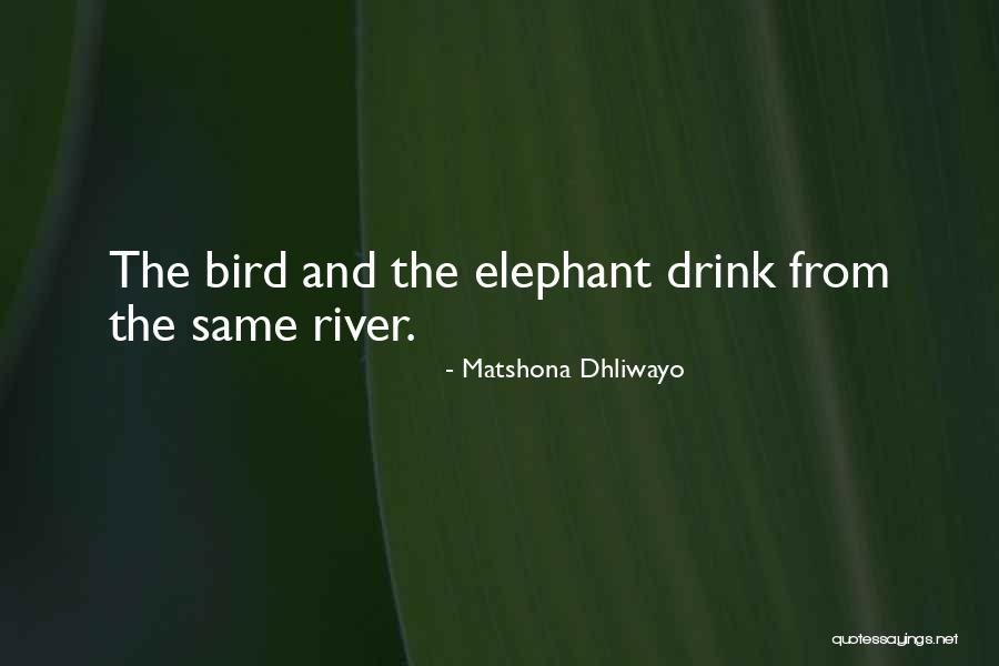 Getting Along Quotes By Matshona Dhliwayo Getting Along Quotes By Matshona Dhliwayo