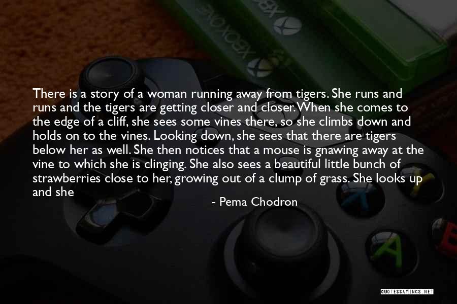 Getting Away From Life Quotes By Pema Chodron Getting Away From Life Quotes By Pema Chodron