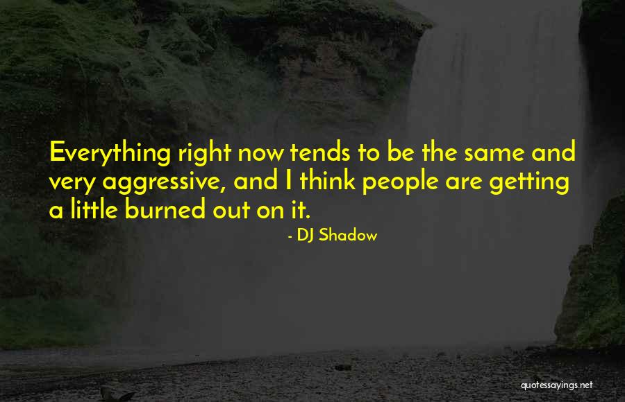 Getting Burned Out Quotes By DJ Shadow