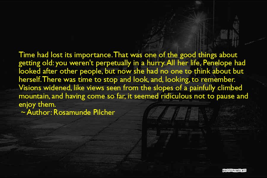 Getting In A Hurry Quotes By Rosamunde Pilcher